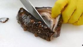 海参厨师爆料视频大全,独家爆料视频大全背后的烹饪奥秘 第2张 海参厨师爆料视频大全,独家爆料视频大全背后的烹饪奥秘 第2张